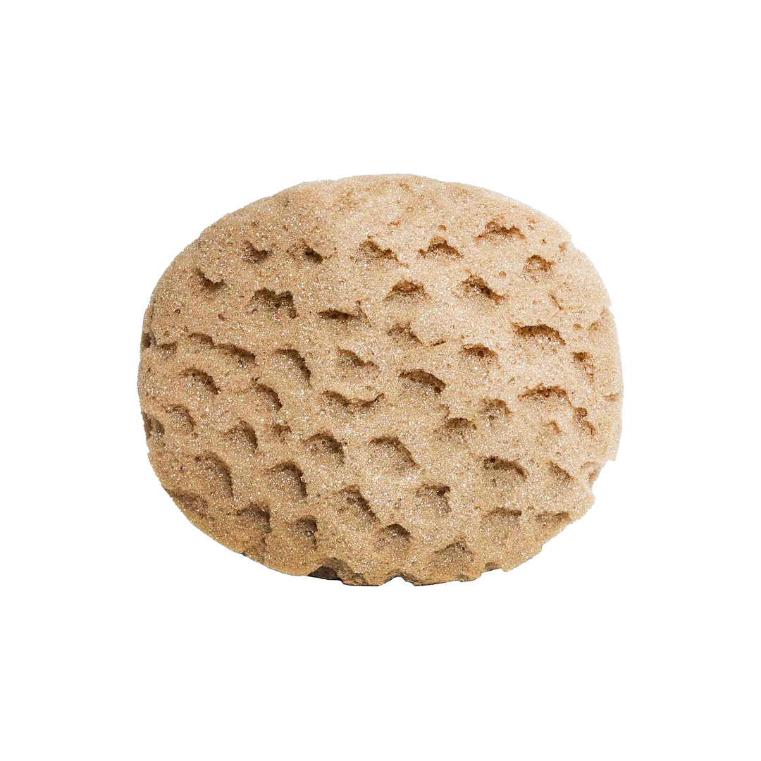 اسفنج دریایی مصنوعی آرتین کد M88A اسفنج دریایی مصنوعی آرتین کد M88A