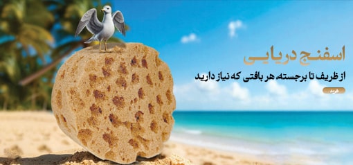 اسفنج دریایی