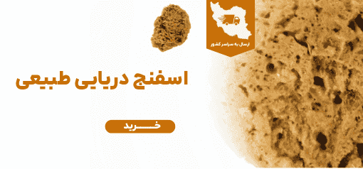 اسفنج دریایی طبیعی